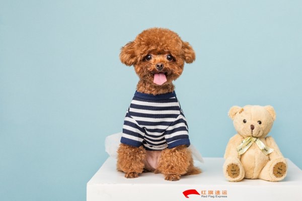 疫情期間香港商品如何轉運到四川攀枝花呢？